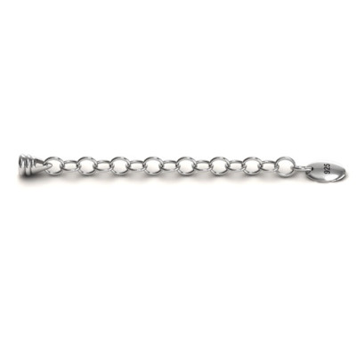 Personalized Silver Snake Bracelet with 1.5  Extender